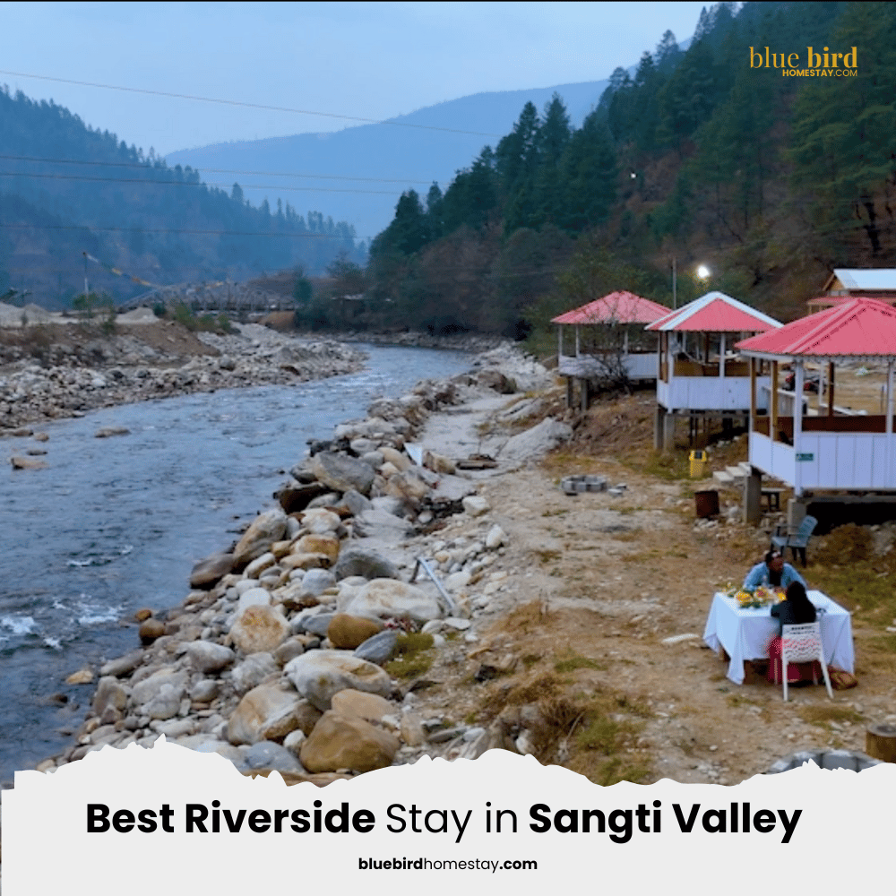 Blue Bird Homestay in Sangti valley